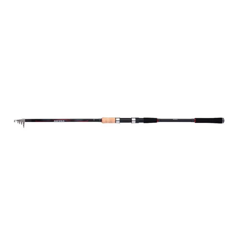 Shimano Sienna AR TEGT 300 cm 40 - 80 gr