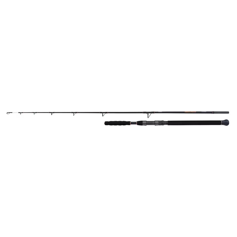 Shimano Beastmaster AX Catfish 240 cm 60 - 150 gr