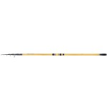 Shimano Beastmaster FX Surf Tele 425 cm 170 gr