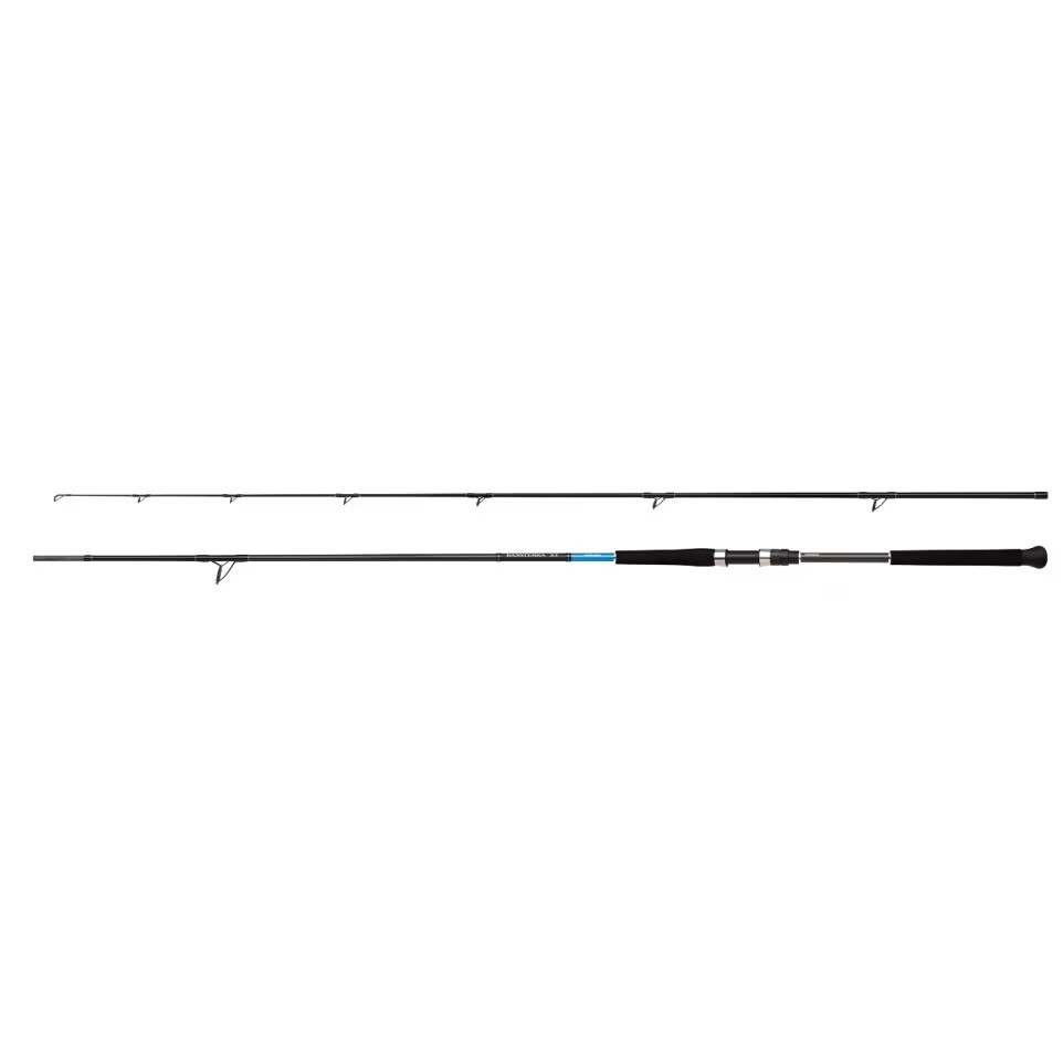 Shimano Bassterra XT Shore Jigging 305 cm 30 - 100 gr