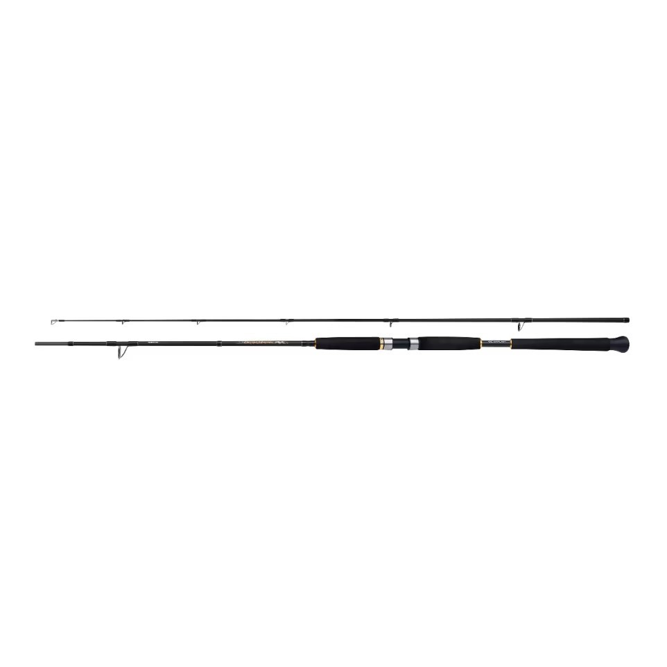 Shimano Beastmaster AX Pilk 240 cm 150 - 300 gr