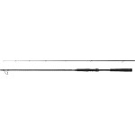 Shimano Exsence Genos 305 cm 8 - 48 gr