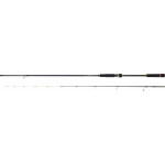 Daiwa BG Tenya Game 240 cm 15 - 80 gr