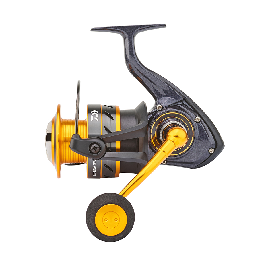 Daiwa Laguna 24 SW 10000 SW