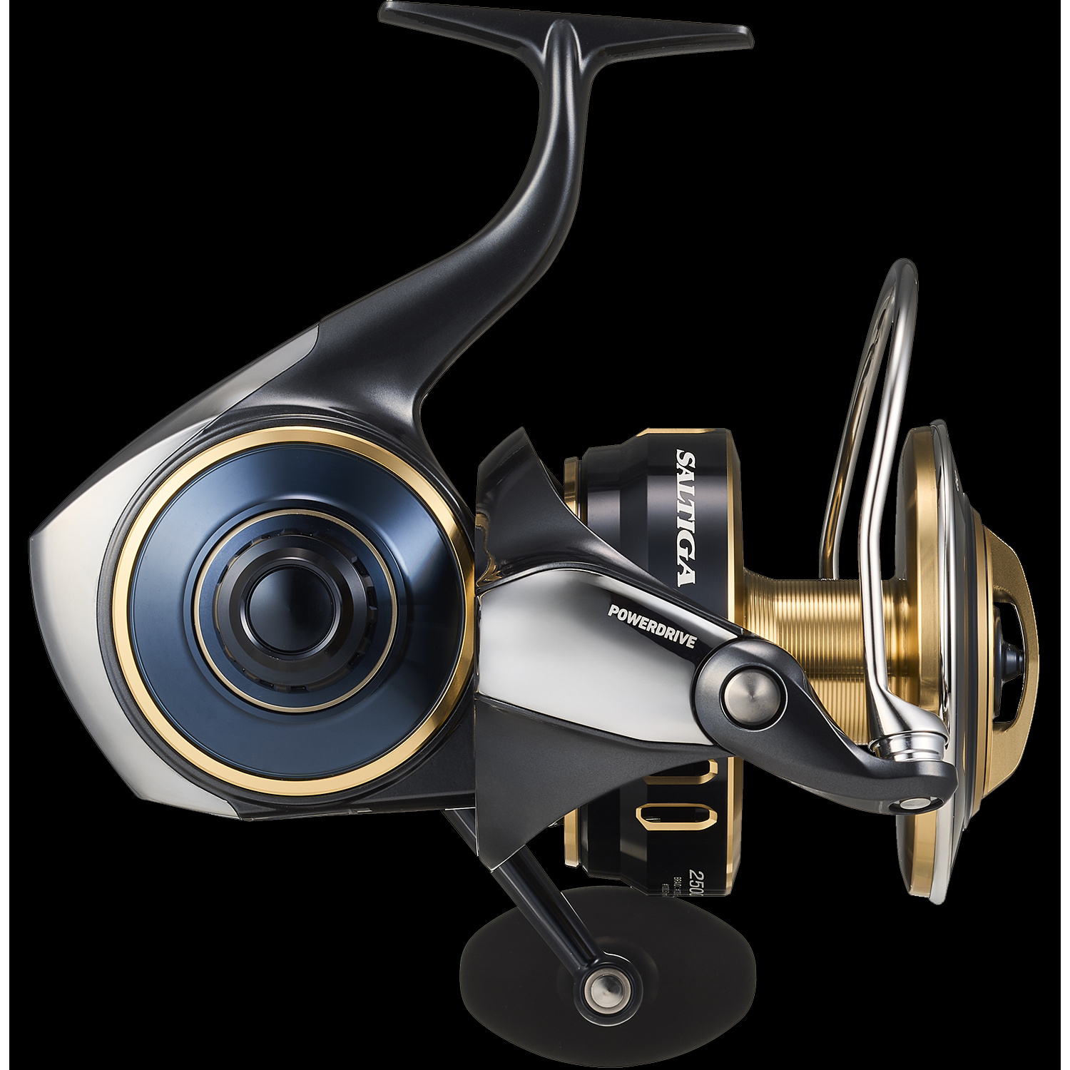 Daiwa Saltiga 25 8000 P