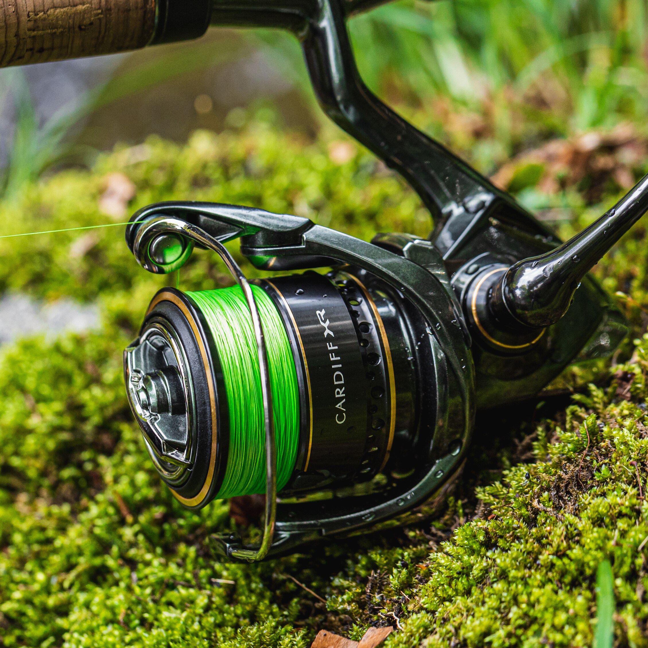 Shimano Cardiff XR C2000 SHG, Görsel 4